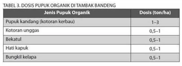 Pemupukan dan Penumbuhan Pakan Alami Bandeng