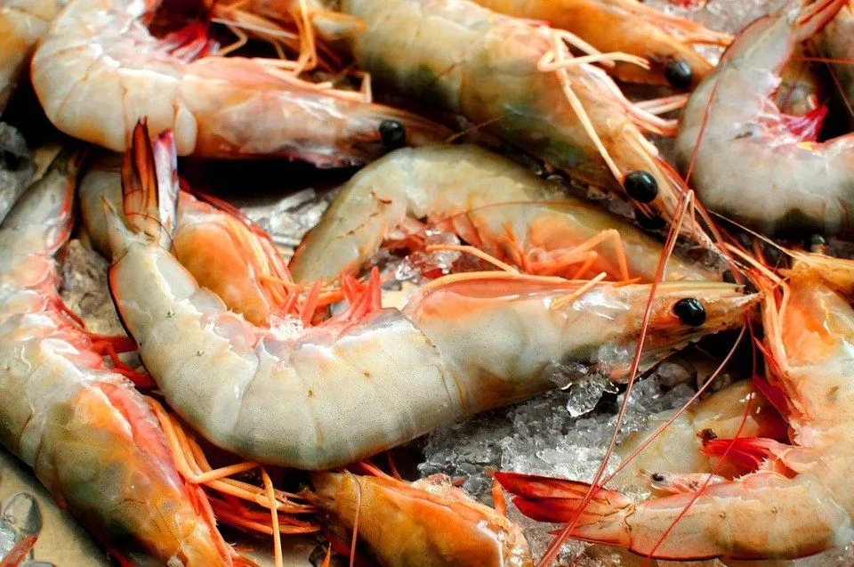 Resep Udang Keju ala Mie Gacoan, Camilan Spesial Akhir Pekan