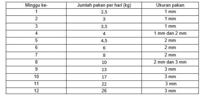 Ketahui Ukuran Pakan Pelet yang Sesuai dengan Bukaan Mulut Ikan Lele Anda