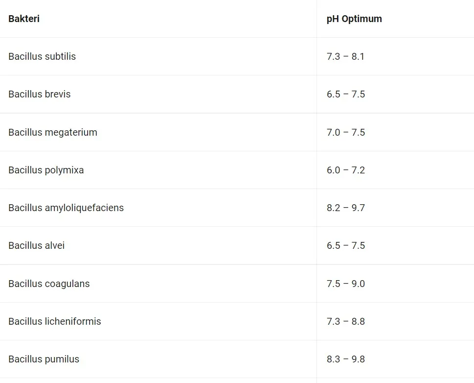 Mekanisme Kerja Bakteri