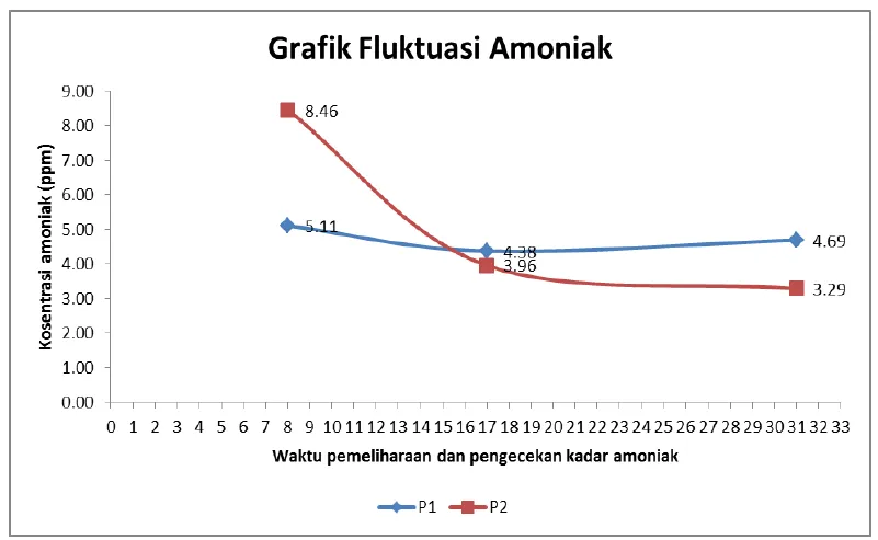 Manfaat Green Water System untuk Tekan Amonia pada Budidaya Lele
