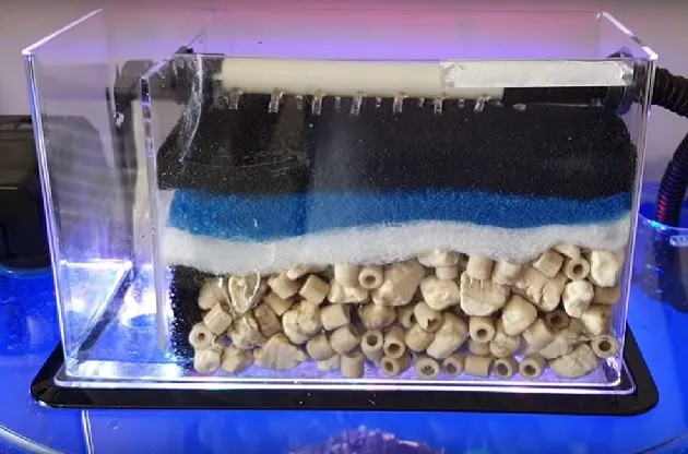 Sistem Filtrasi Lengkap, Ikan pun Sehat