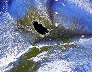 Hal-hal yang Harus Diperhatikan Dibalik Kepraktisan Kolam Terpal