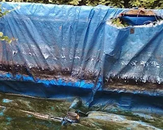 Hal-hal yang Harus Diperhatikan Dibalik Kepraktisan Kolam Terpal