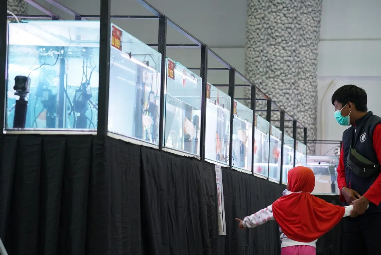 Punya Daya Saing Tinggi, KKP Dorong Peningkatan Industri Ikan Hias Endemik