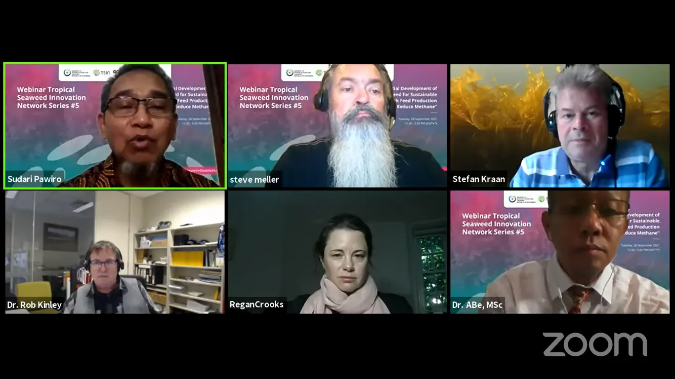 Rumput Laut Asparagopsis, Alternatif Bahan Baku Pakan yang Bisa Kurangi Pemanasan Global