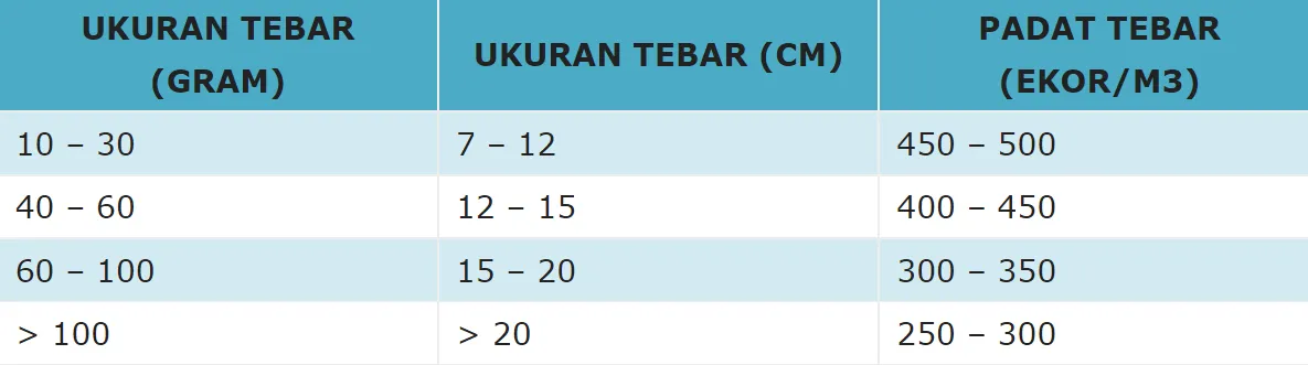 Budidaya Ikan Kakap di Keramba Jaring Apung (KJA)