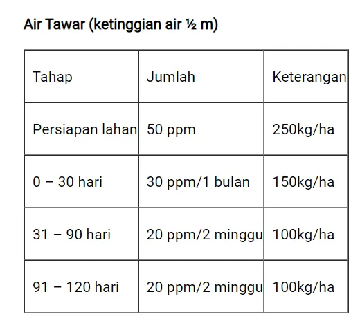 Saponin, Cegah Predator Udang dan Bandeng di Tambak