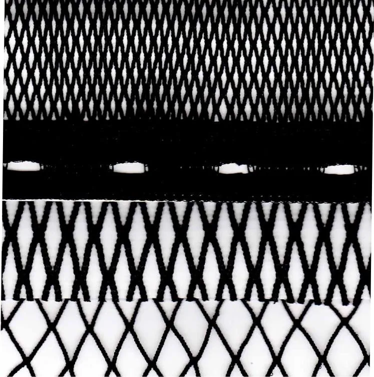 Menanggulangi Penyakit Infeksi Pada Ikan Laut