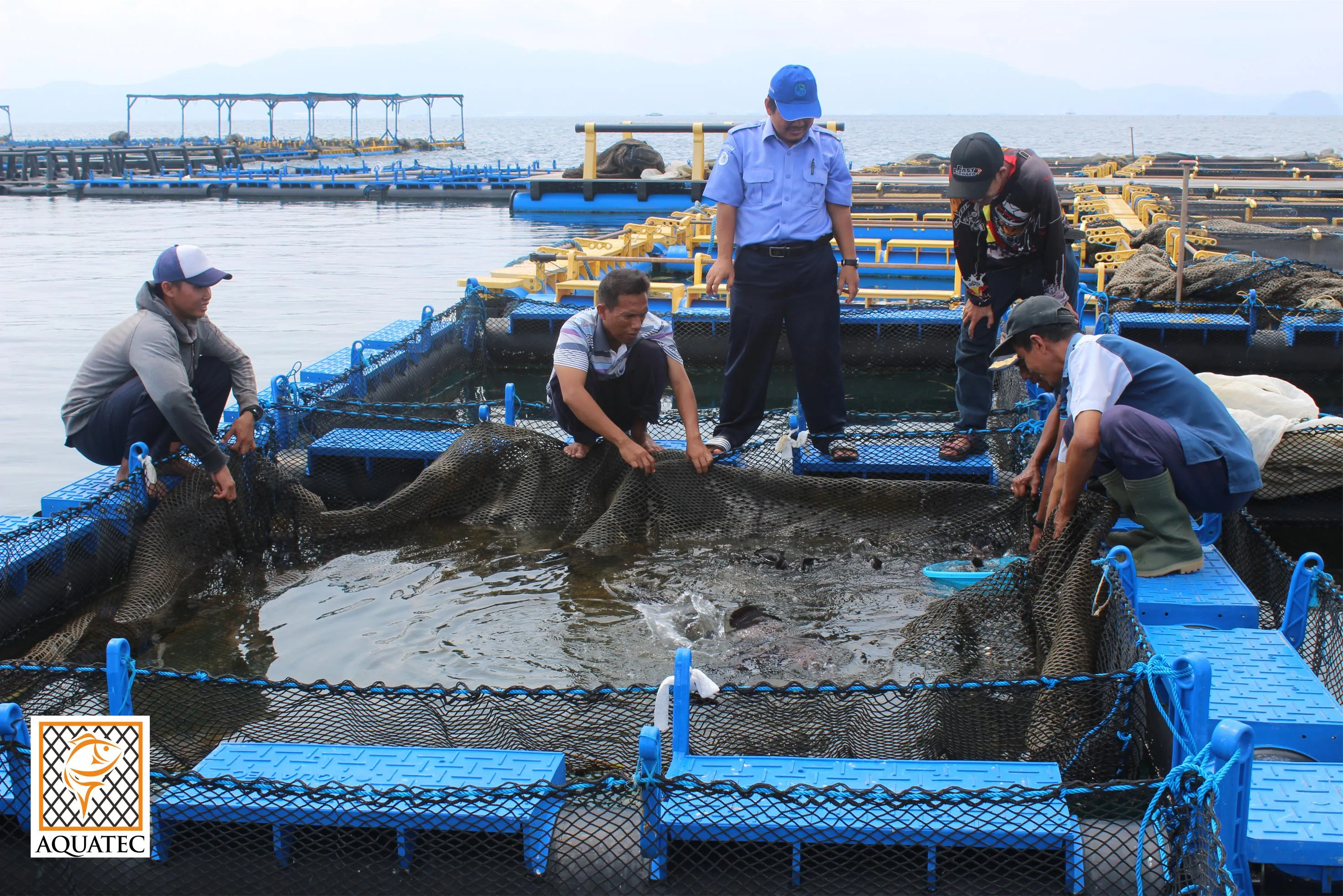 Menanggulangi Penyakit Infeksi Pada Ikan Laut