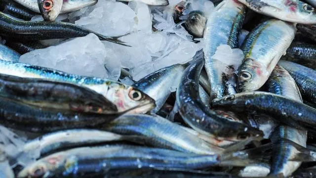 Pahlawan Pangan di Tengah Pandemi COVID-19, Rudy Bertahan Budidaya Ikan Sidat