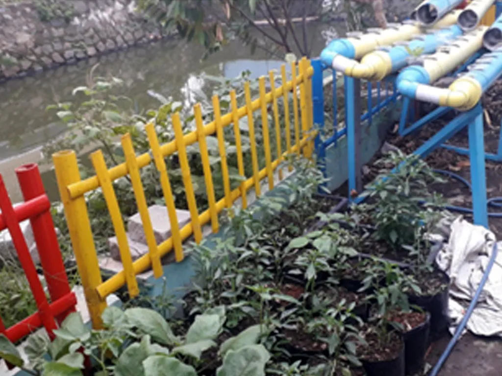 Ternak Ikan dan Rekreasi Peningkat Imun di Tangerang