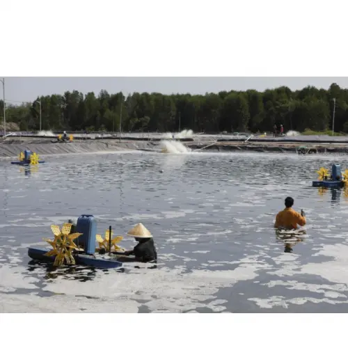 4 Tanda Bahan Organik Tambak Tinggi, Segera Lakukan Hal Ini!