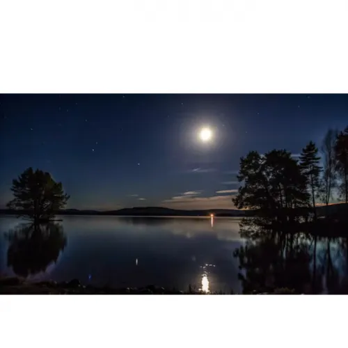 Pengaruh Bulan Purnama pada Molting Udang