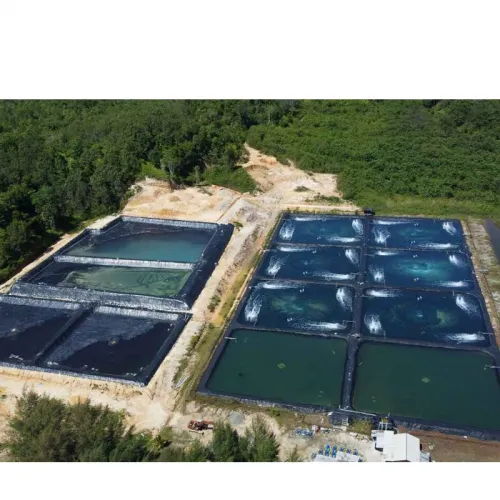 Panduan Biosecurity untuk Tambak Udang