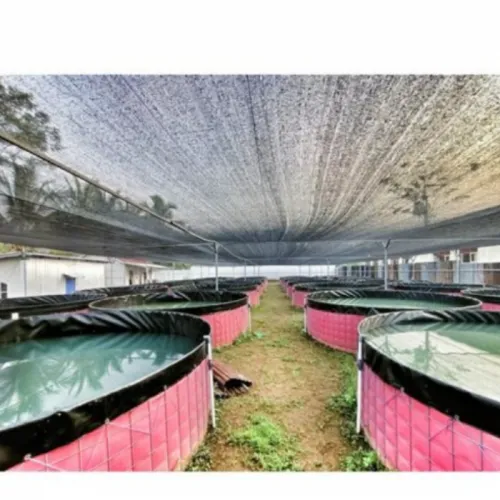 4 Terpal Kolam Ikan Terbaik untuk Budidaya