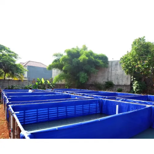 6 Tips Memilih Terpal Kolam Ikan untuk Pembudidaya