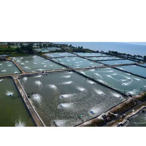 Jenis & Konsorsium Mikroba Tambak Udang, Penentu Hasil Panen