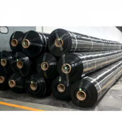 Jual Terpal Tambak Udang Terlengkap