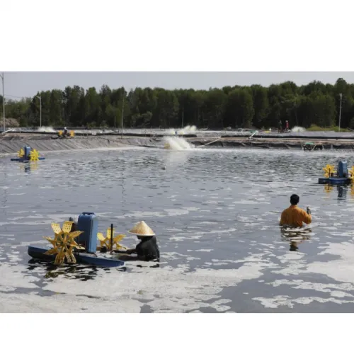 Suhu Optimal Budidaya Udang dan Pengaruhnya