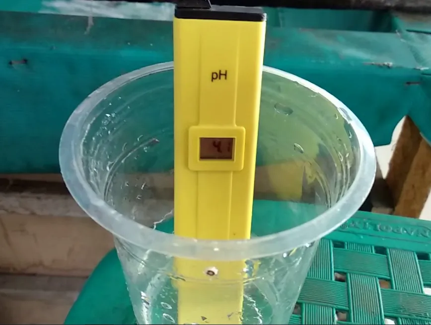 Angka pH Optimal Tambak dan Pengaruhnya pada Udang