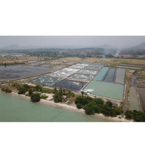 Apa saja Perizinan Usaha Tambak Udang?