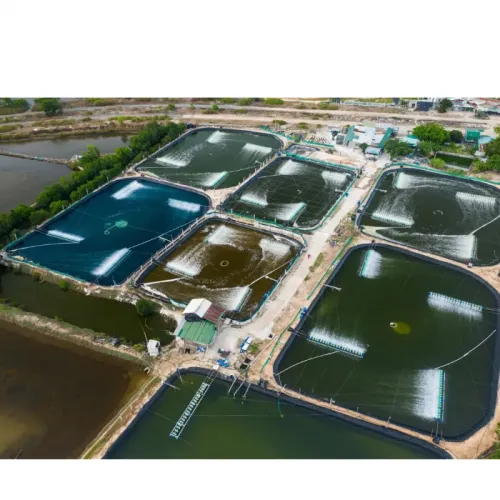 Analisis Usaha dan Keuntungan Bisnis Tambak Udang Intensif dan Tradisional