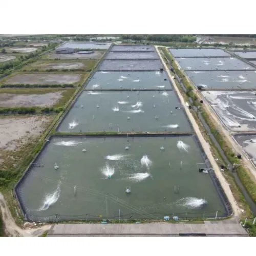 Memahami Potensial Redoks (ORP) dan Fungsinya untuk Tambak Udang