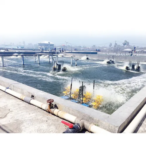 Tata Cara & Waktu yang Tepat Mengganti Air Tambak Udang