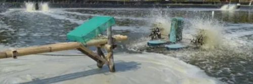 Fungsi Feed Additive pada Budidaya Udang [Contoh Lengkap]