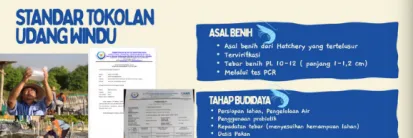 Bedah Cara Pentokolan Udang untuk Tingkatkan Produktivitas Tambak