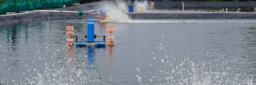 Lengkap! 8 Alat Tambak Udang Wajib sebelum Mulai Budidaya