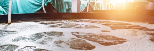 4 Keunggulan Sistem UV pada Budidaya Udang