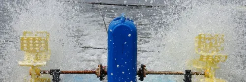 Menjaga Kualitas Air Tambak Udang dengan Mengatasi Penumpukan Bahan Organik