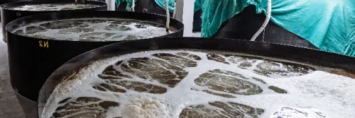 Kenali 4 Jenis Probiotik untuk Tambak Udang