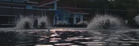 Monitoring Kualitas Air untuk Tuai Keberhasilan Budidaya Udang