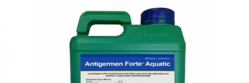 Disinfektan Antigermen Forte Aquatic untuk Budidaya Udang di Tambak