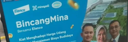 Efisiensi Budidaya Jadi Strategi untuk Hadapi Tantangan Harga Udang