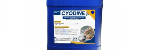 Disinfektan Cyodine untuk Menekan Pertumbuhan Vibrio di Tambak udang