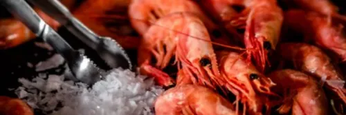 Jangan Buang Kepala dan Kulit Udang, Ini Manfaatnya bagi Kesehatan