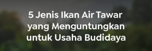 5 Jenis Ikan Air Tawar yang Menguntungkan untuk Usaha Budidaya