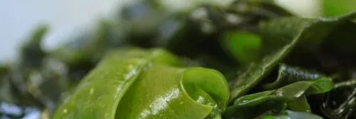 Resep Miyeok Guk Khas Korea, Sup Rumput Laut Untuk Acara Ulang Tahun!