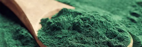 3 Rekomendasi Spirulina Terbaik untuk Usaha Budidaya Udang