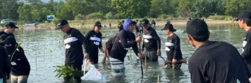 Konservasi Bakau untuk Keberlanjutan Budidaya Barramundi oleh Skretting Indonesia dan PT Phillips Seafoods Indonesia