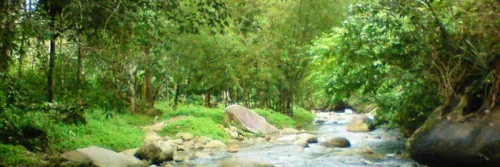 Akuakultur dan Pelestarian Lingkungan Hidup