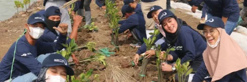 Konservasi Mangrove oleh Skretting Indonesia dan PT Indonusa  Yudha Perwita untuk Keberlanjutan Lingkungan Budidaya