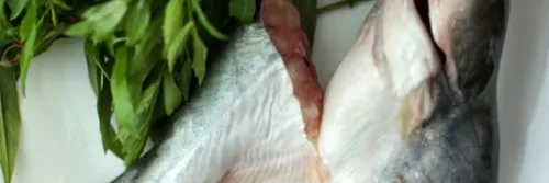Ikan Patin yang Benar untuk Bikin Aneka Hidangan