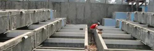 8 Cara Budidaya Ikan Gabus di Kolam Beton Bagi Pemula