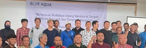 Siasati Harga Udang di Pasaran