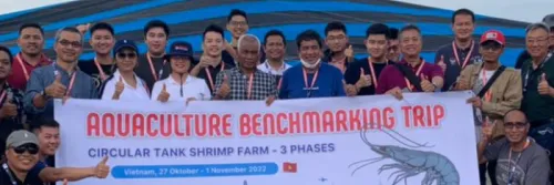 Inovasi Tambak Udang Rakyat Vietnam Untuk Bersaing di Pasar Dunia